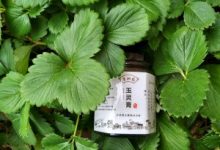 玉灵膏的详细答疑,关于玉灵膏的所有疑问,在这里都能找到答案-古方玉灵膏