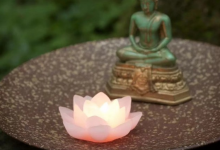 适合吃玉灵膏的人及禁忌-古方玉灵膏